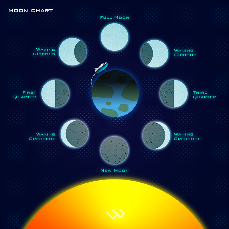 Image 9 of Illustrator Daily Creative Challenge (May 11 - May 22)